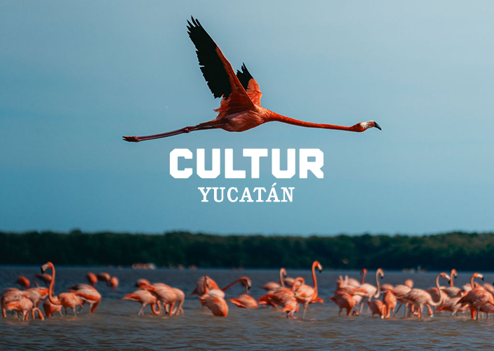 Cultur Yucatán